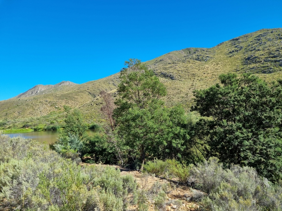 0 Bedroom Property for Sale in Haarlem Western Cape